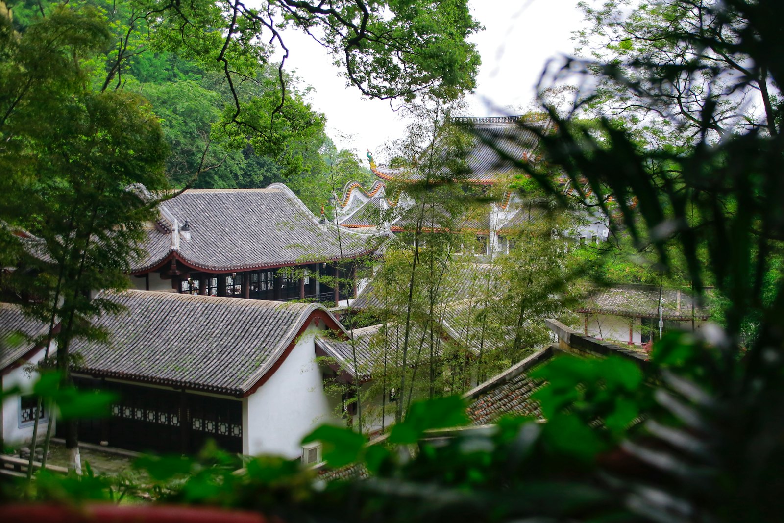 Grey-tiled roofs and white-walled buildings of Yuelu Academy in Changsha seen through trees and foliage