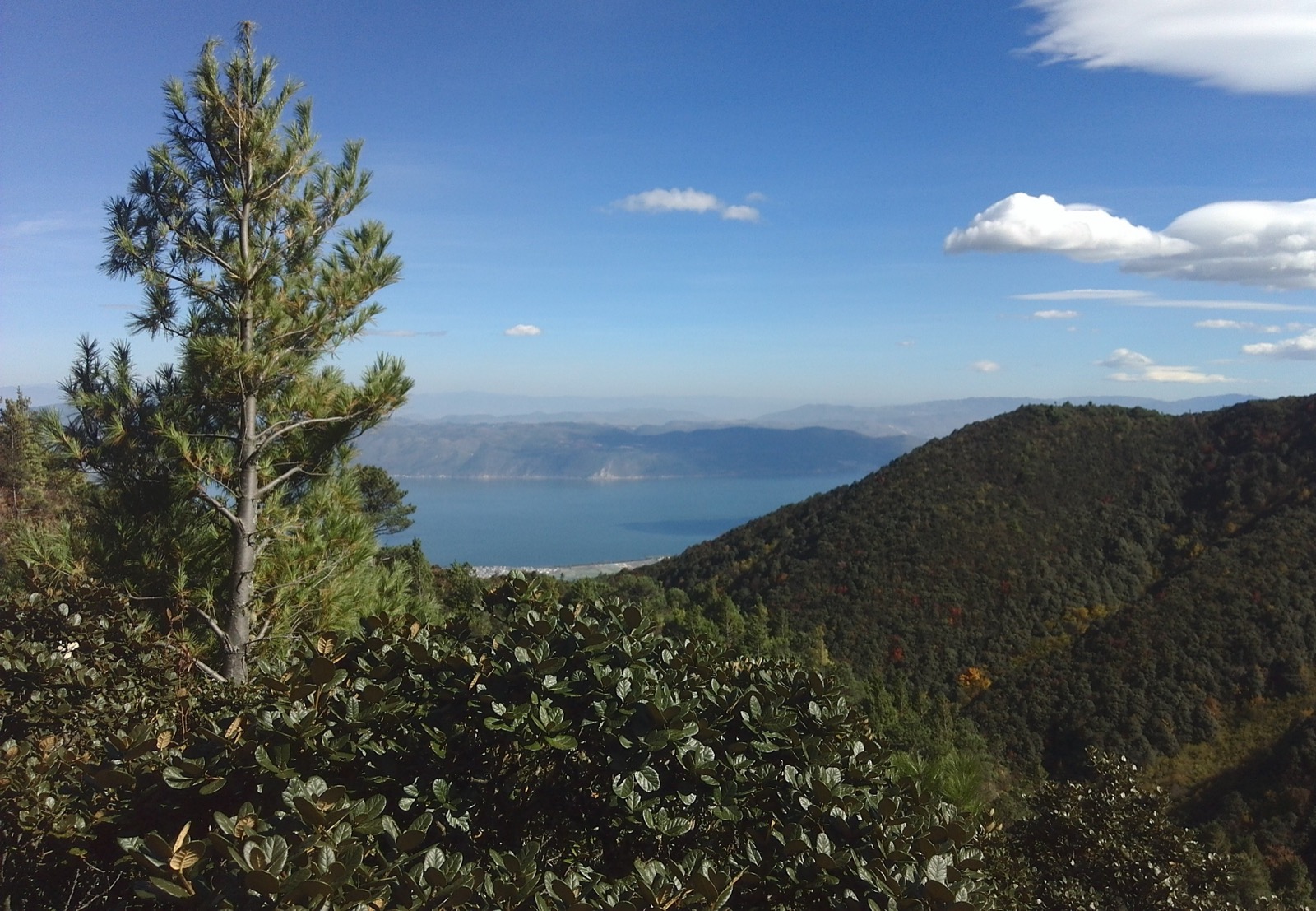 The Jade Belt Road cloud walkway cut into the green flank of Cangshan, Erhai Lake far below through the mist