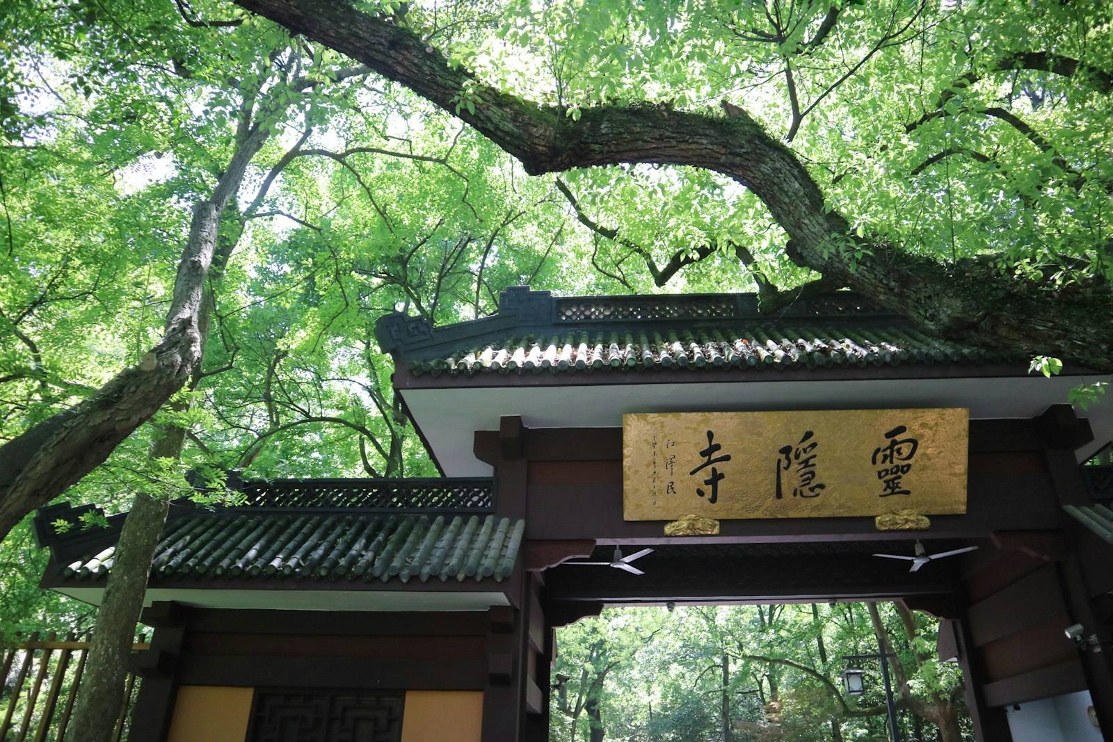 The gate of Lingyin Temple under a canopy of huge old trees, with a gold plaque reading Lingyin Temple in Chinese characters