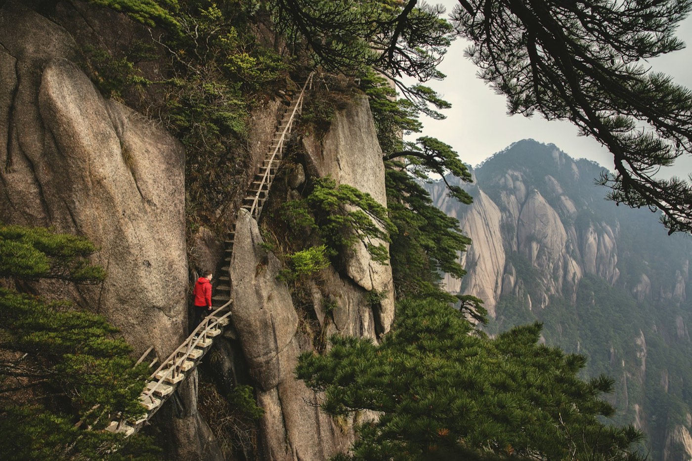 A hiker in a red jacket climbing a narrow wooden staircase fixed to a granite cliff on Mount Huangshan, pines all around