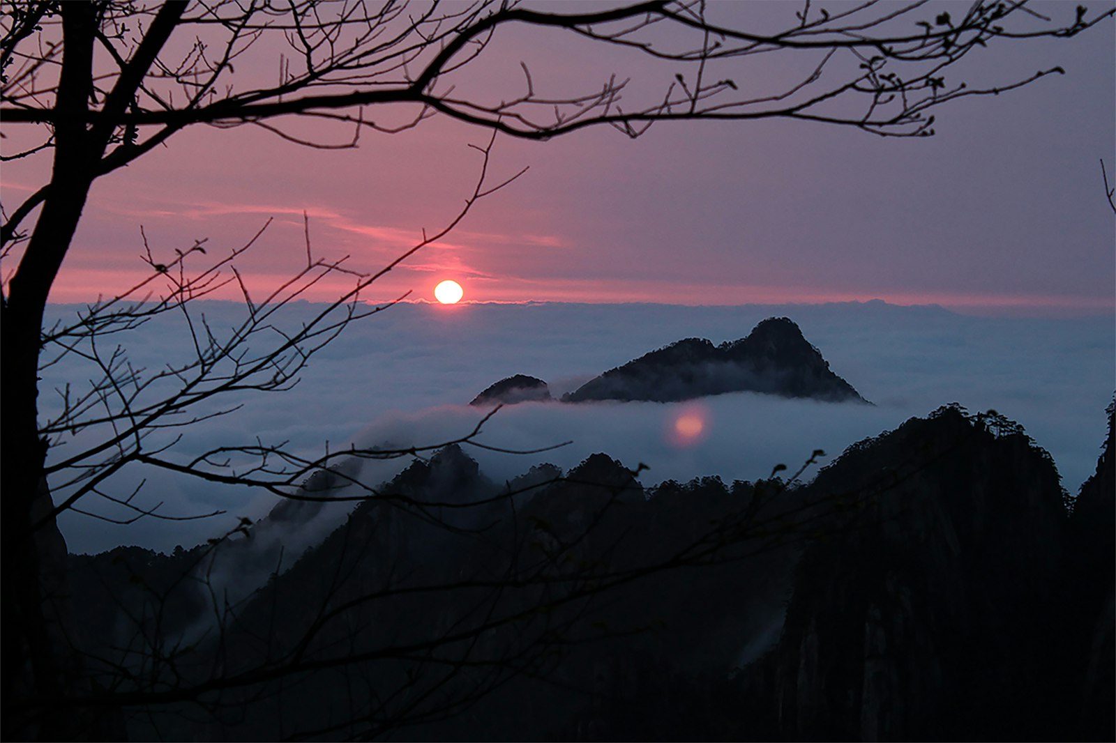 The sun rising over a sea of cloud at Huangshan, framed by a bare tree, granite peaks silhouetted against a pink sky