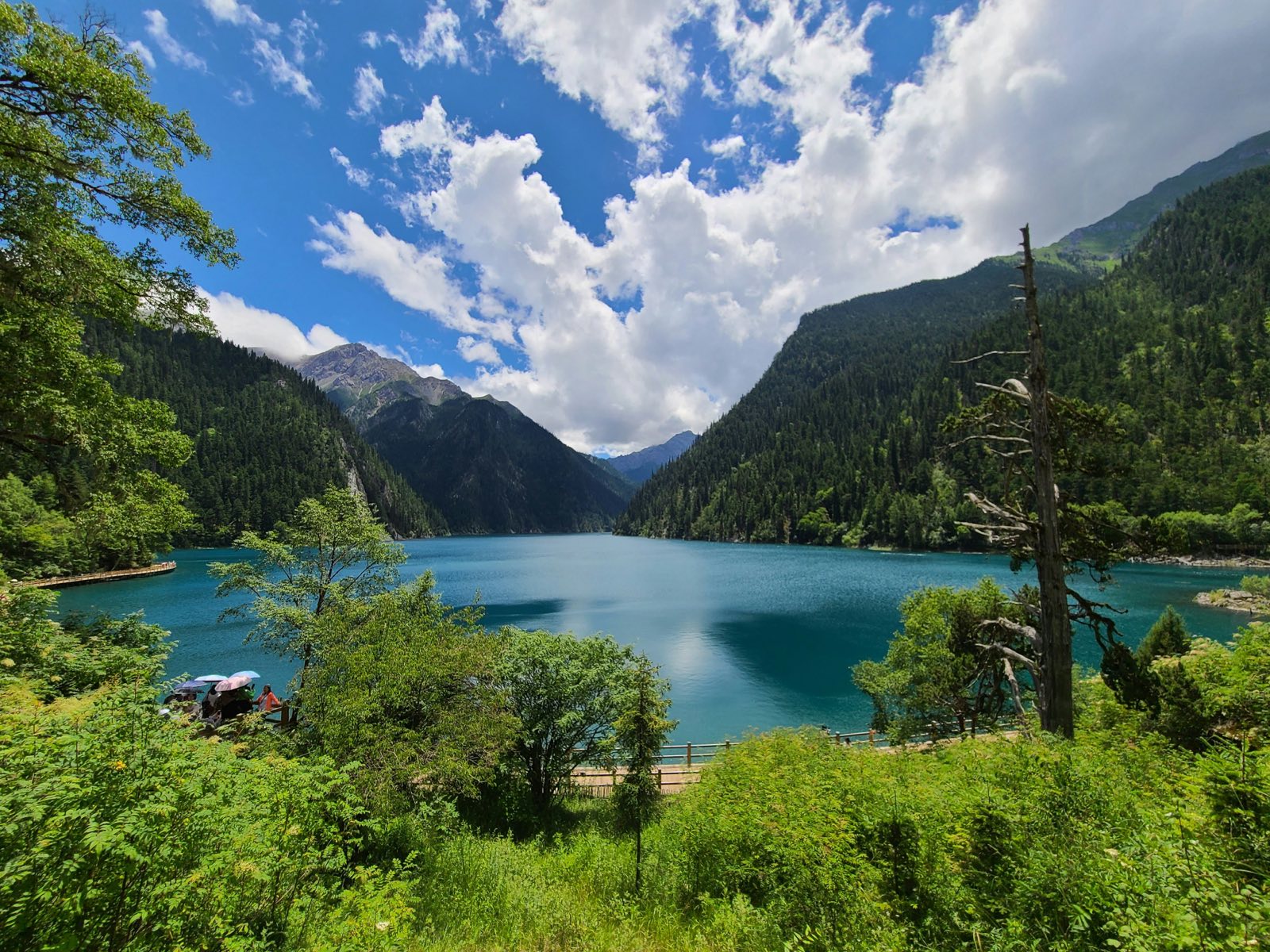 Turquoise lake water in Jiuzhaigou Valley with forested mountain slopes behind