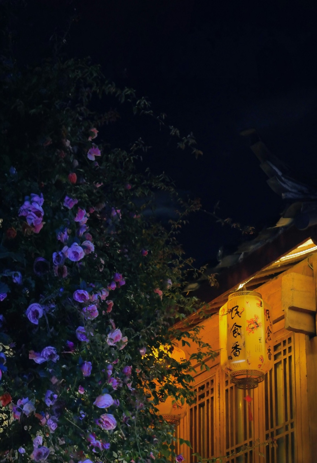 Lijiang Old Town Bar Street at night — neon and red lanterns reflected in the canal, crowds along the water