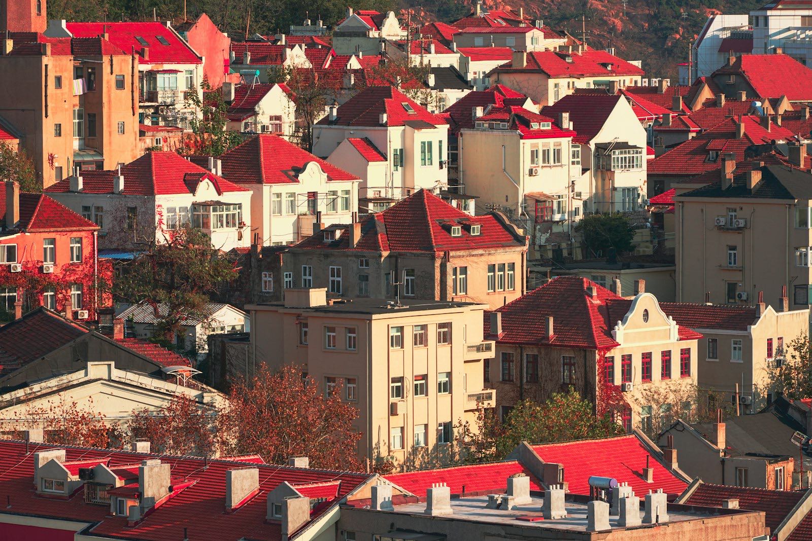 Red-tiled roofs of old houses and apartment blocks packed together on a hillside in Qingdao's old town, lit by low golden sun
