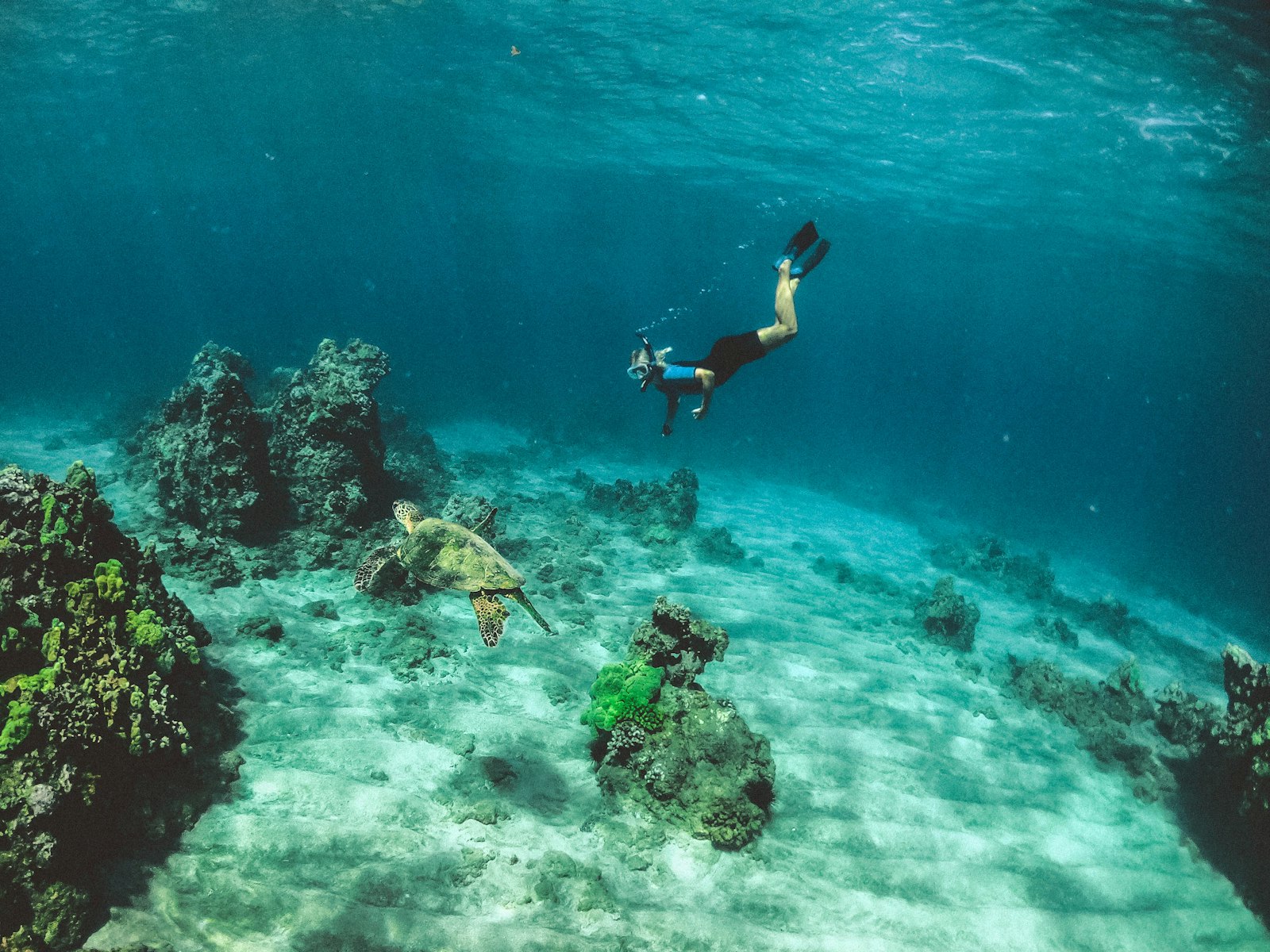 Crystal-clear turquoise water and coral reef off Wuzhizhou Island, snorkellers and a glass-bottom boat