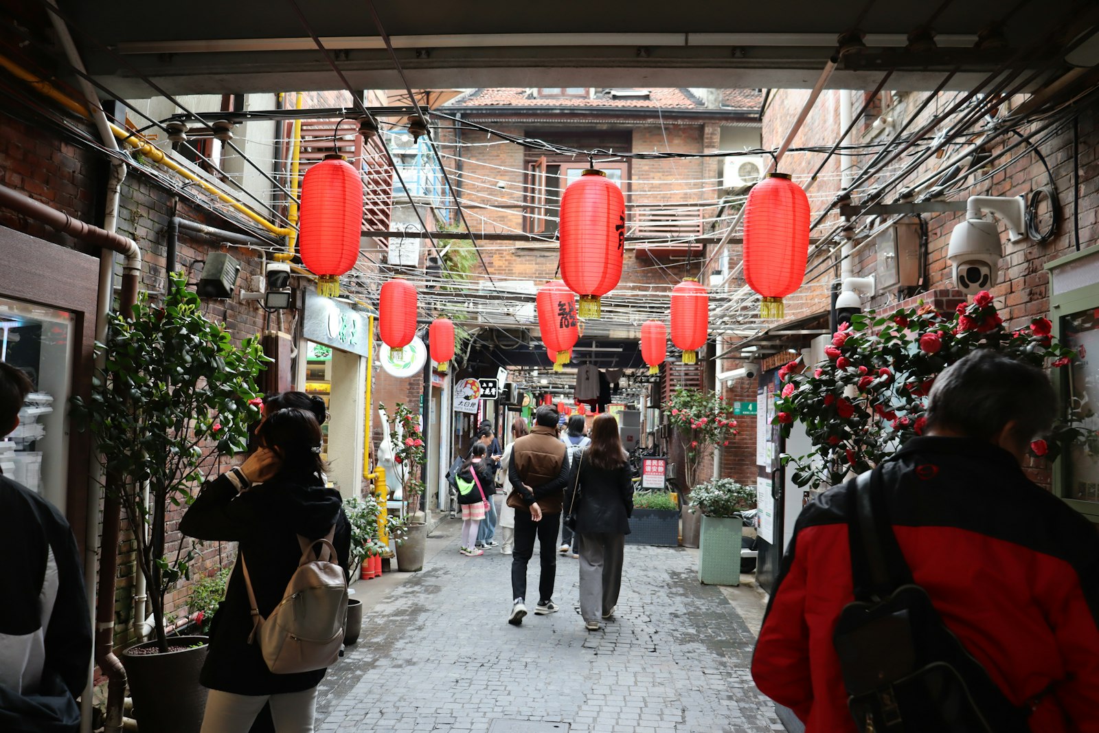 A brick-walled lane in Tianzifang strung with red paper lanterns, visitors strolling the cobbled alley past small shops and camellia bushes