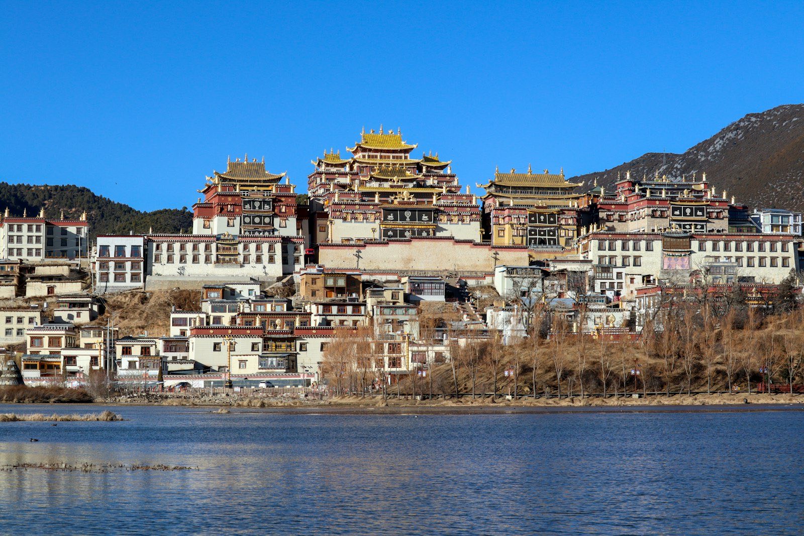 Ganden Sumtseling (Songzanlin) Monastery — gilded roofs and white-and-maroon Tibetan halls stacked on a hillside above a lake, under a clear blue plateau sky