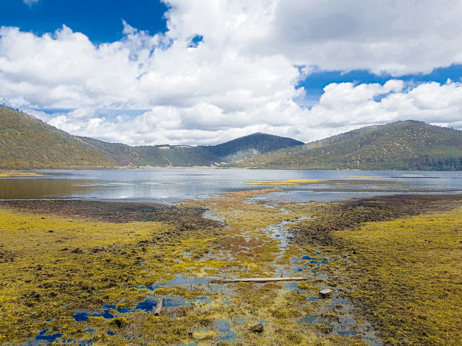 A lake inside Pudacuo National Park — yellow-green marsh meadow along the shore, forested and grassy hills and big plateau clouds beyond
