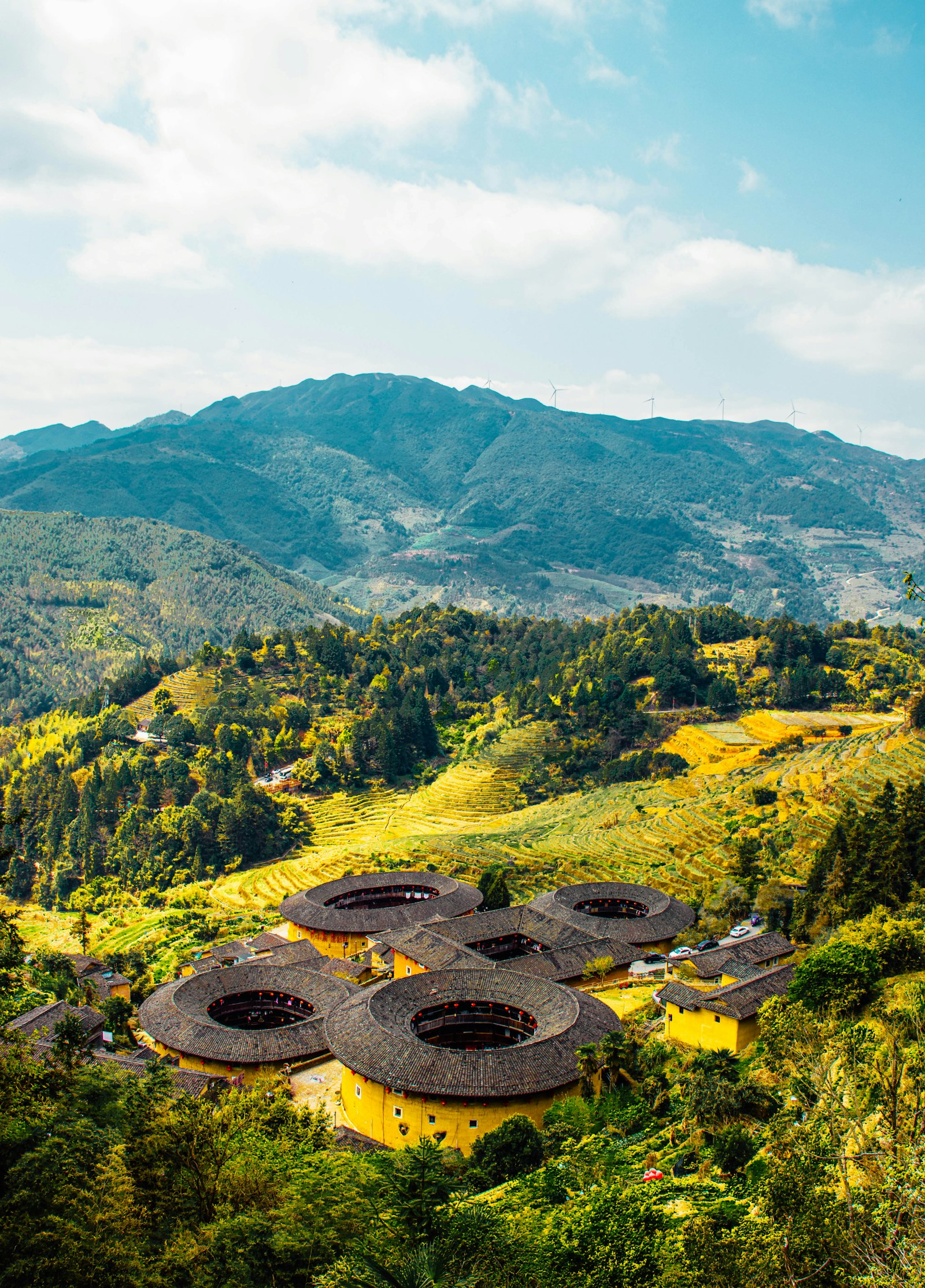 A cluster of Fujian tulou — vast circular earthen roundhouses nestled in green tea terraces