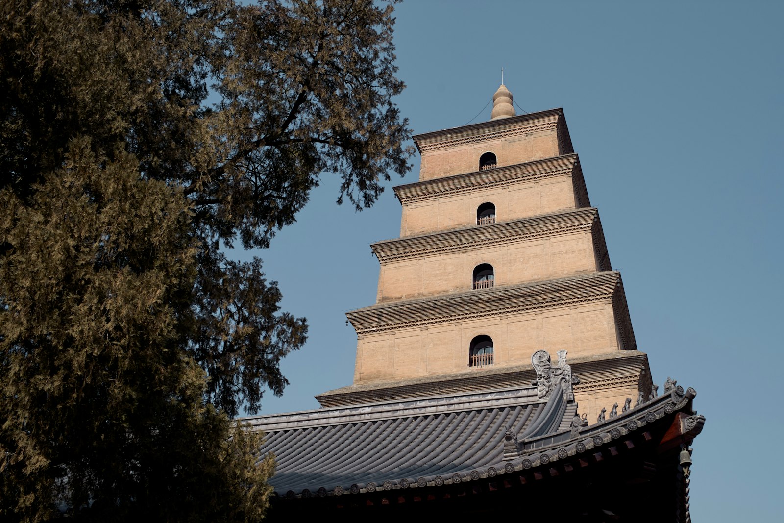 The tiered brick Big Wild Goose Pagoda rising above a grey-tiled temple roof and a cedar tree against a blue sky