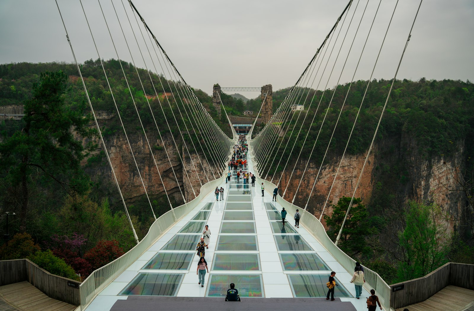 Visitors walking the white Zhangjiajie Grand Canyon Glass Bridge — glass panels set into the deck, a fan of suspension cables, stone towers ahead and forested canyon walls on both sides
