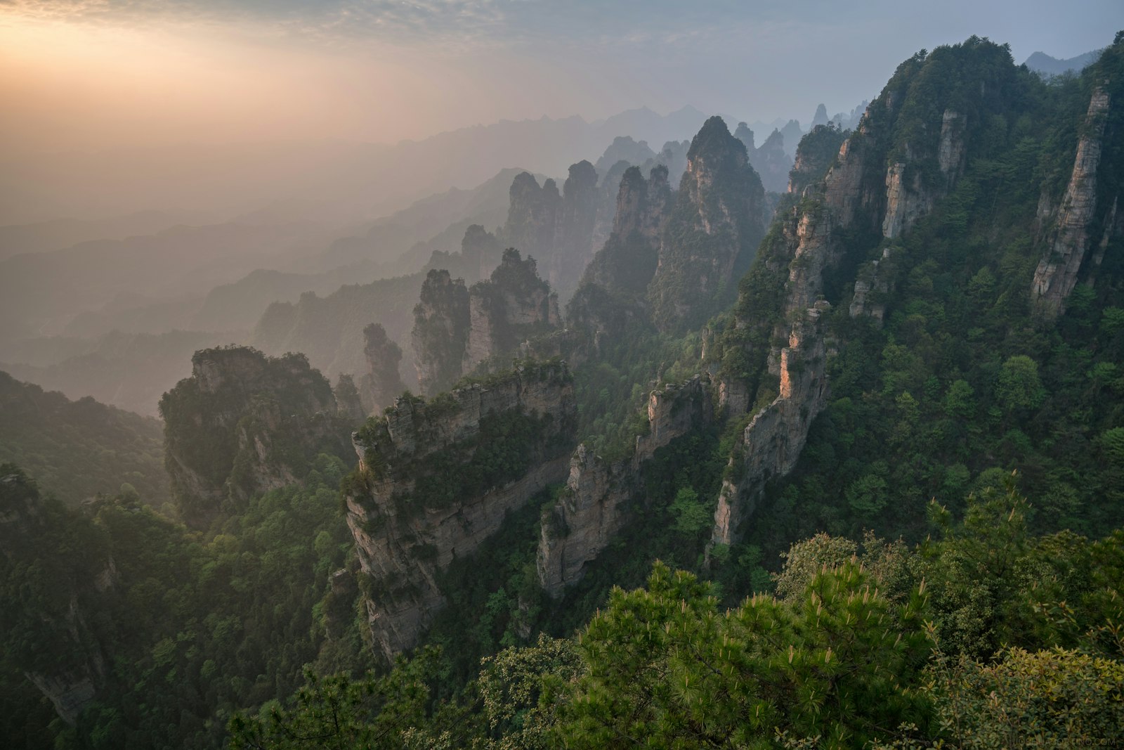 Zhangjiajie sandstone pillars rising out of a sea of cloud at dawn — the floating Avatar mountains of the National Forest Park