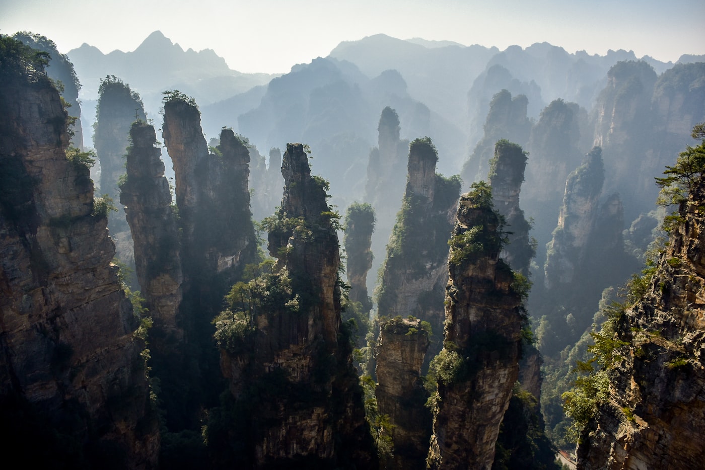 Sandstone pillars of Zhangjiajie rising out of a sea of cloud at dawn — the floating mountains effect after overnight rain
